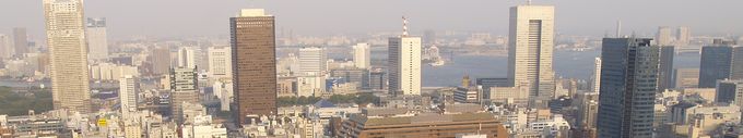 View+from+TokyoTower.jpg