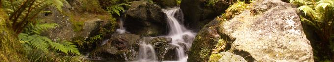waterfall_Yonago.jpg